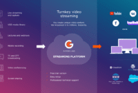 How to Choose the Right Streaming Plan for Your Needs Made Simple