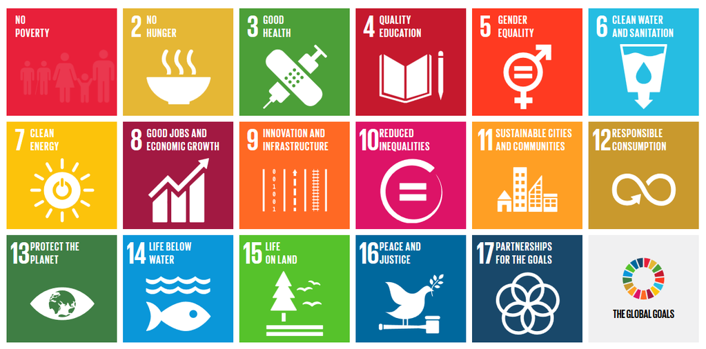 United Nations Sustainable Development Goals Open Pedagogy Assignments ... Sustainable Activewear Brands That You Can Buy Now