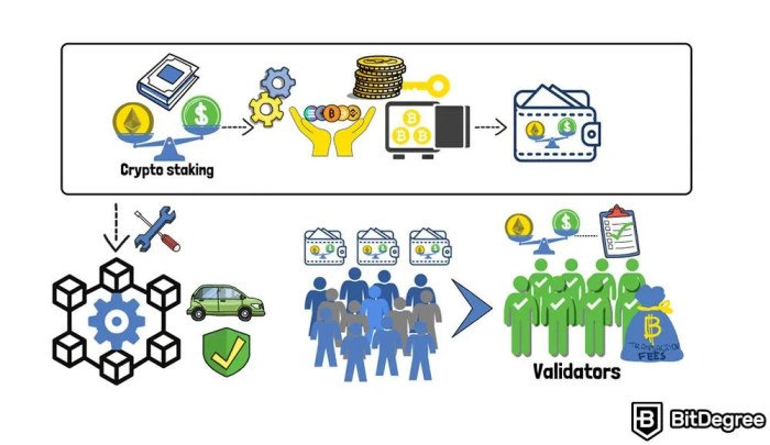 What is Staking Crypto About and How Does It Work? What Is the Role of Crypto Staking in Transactions and Investment?